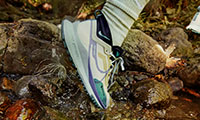 Nike Pegasus Trail 4 GTX