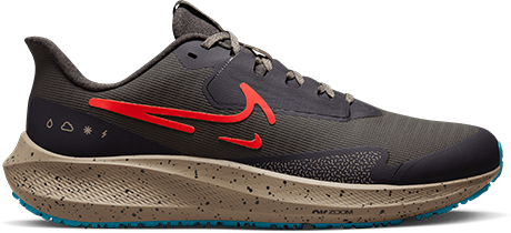 Nike Pegasus 39 Shield - Man