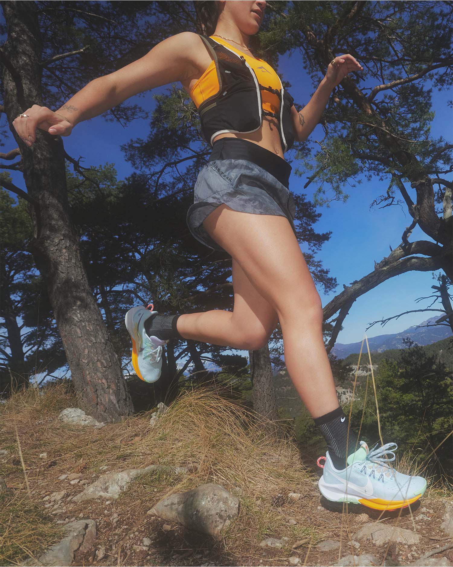 Scarpa pegasus on sale