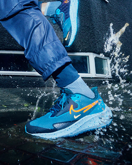 Nike Pegasus 39 Shield