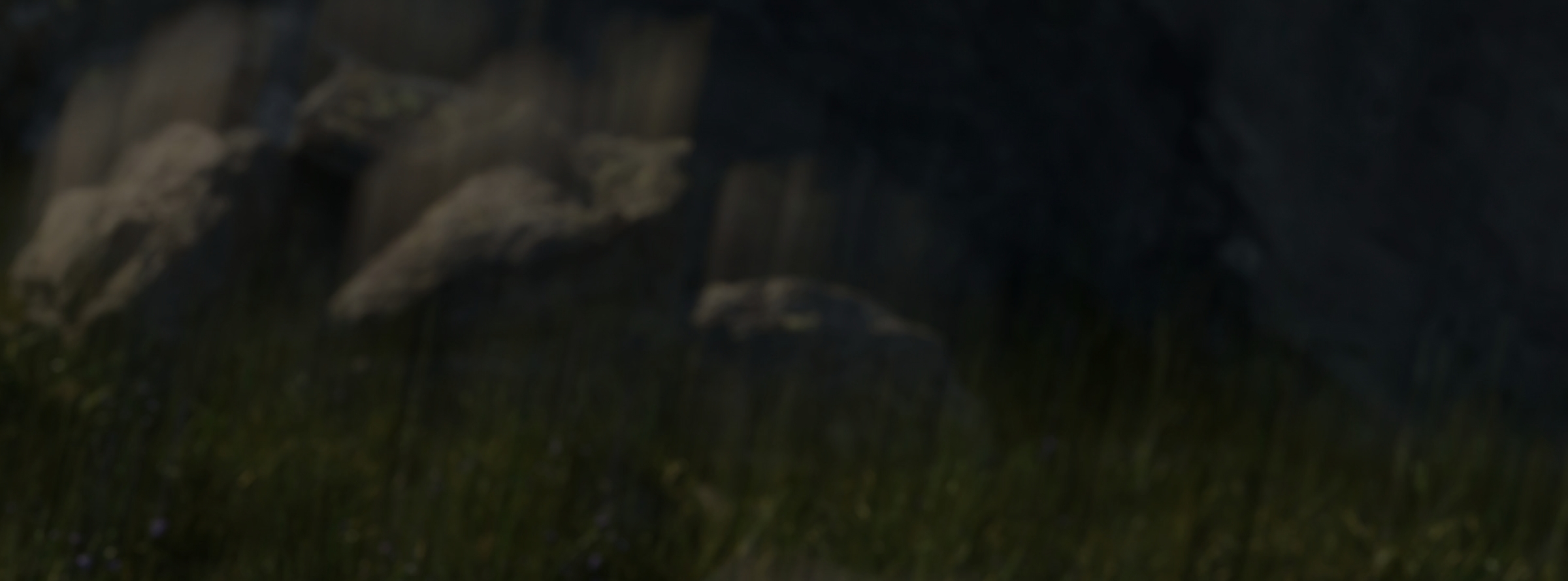 adidas Terrex Agravic Speed Ultra 2