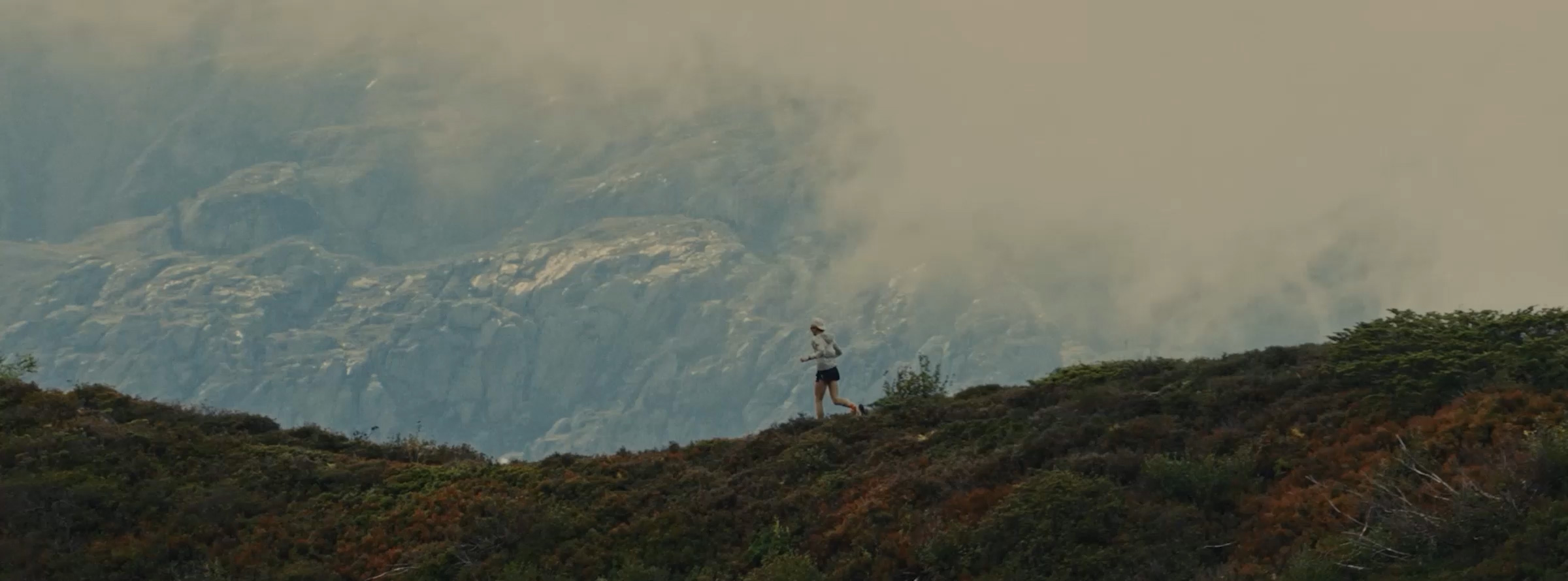 adidas Terrex Agravic